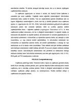 Referāts 'Komerctiesības Austrijā', 10.