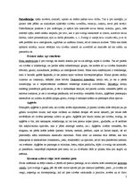 Eseja 'Mana pašpadeve - pašrefleksija', 2.