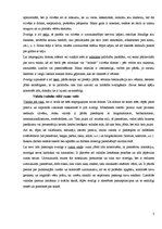 Eseja 'Mana pašpadeve - pašrefleksija', 3.