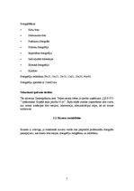 Biznesa plāns 'Biznesa plāns SIA "Le Foto"', 3.