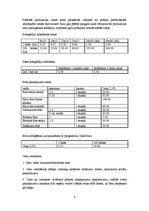 Biznesa plāns 'Biznesa plāns SIA "Le Foto"', 6.