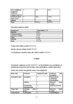 Biznesa plāns 'Biznesa plāns SIA "Le Foto"', 11.