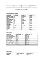 Biznesa plāns 'Biznesa plāns SIA "Le Foto"', 12.