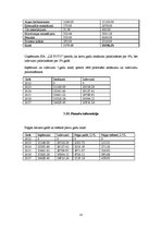 Biznesa plāns 'Biznesa plāns SIA "Le Foto"', 13.