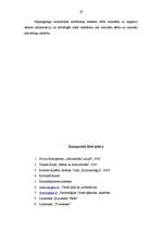 Referāts 'Nepilngadīgo noziedzība un determinantes Latvijā', 29.