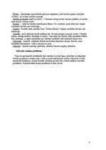 Konspekts 'Viktors Igo un viņa darba "Nožēlojamie" analīze', 6.