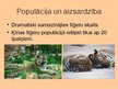 Prezentācija 'Tīģeri', 8.
