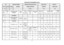 Paraugs 'Tehnoloģisko procesu izstrāde', 6.