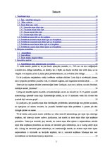 Referāts 'Sejas āda un tās kopšana', 5.