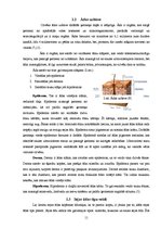 Referāts 'Sejas āda un tās kopšana', 11.