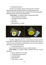 Referāts 'Sejas āda un tās kopšana', 30.