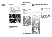 Konspekts 'Fizika medicīnā', 1.