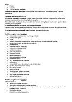 Konspekts 'Biežākās patoloģijas bērnu un pusaudžu vecumā', 4.