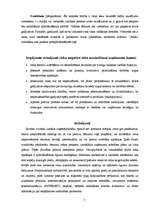 Referāts 'Uzņēmuma risku veidi to analīze un novēršana', 6.