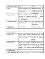 Referāts 'Vāciju apvienošanās nozīme Eiropas apvienošanās procesā', 8.