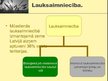 Prezentācija 'Ekoloģiskās problēmas, kas saistītas ar intensīvo lauksaimniecību', 2.