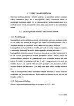 Prakses atskaite 'Daudzkritēriju lēmumu pieņemšanas uzdevumi', 5.