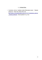 Prakses atskaite 'Daudzkritēriju lēmumu pieņemšanas uzdevumi', 18.