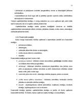 Referāts 'Stratēģiskā plānošana, tās nozīme un pielietojums uzņēmējdarbībā', 13.