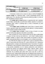 Referāts 'Stratēģiskā plānošana, tās nozīme un pielietojums uzņēmējdarbībā', 19.