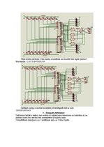 Paraugs 'Astoņu bitu reizinātāja un dalītāja veidošana Proteus vidē no gatavām mikroshēmā', 3.