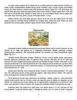 Referāts 'Nauda', 5.