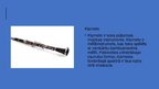 Prezentācija 'Mūzikas instrumenti', 10.