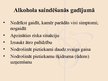 Prezentācija 'Negadījumi jauniešu izklaides vietās, svētkos, sabiedriskos pasākumos', 5.