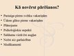 Prezentācija 'Negadījumi jauniešu izklaides vietās, svētkos, sabiedriskos pasākumos', 23.