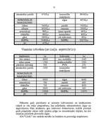 Biznesa plāns 'SIA “I.S.G.” biznesa plāns', 12.