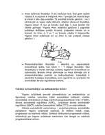 Konspekts 'Mehanizētie šķirošanas uzkalni', 3.