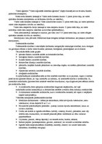 Konspekts 'Veselības aprūpe Latvijā', 3.