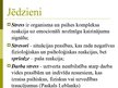 Prezentācija 'Stress darba vietā - profesionālais stress', 2.