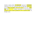 Paraugs 'Darbinieka pilnvara paraksttiesībām', 5.