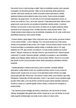 Eseja 'Latvijas kultūras vērtības', 3.