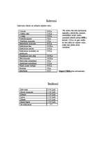 Biznesa plāns 'SIA "Tava Atpūta"', 2.