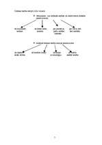 Referāts 'Dabisko tiesību doktrīna', 7.