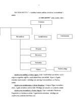 Biznesa plāns 'SIA "Bon apetito"', 7.