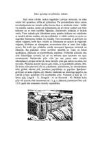 Referāts 'Dzelzs laikmeta pilskalni un apmetnes Latvijas teritorijā', 2.