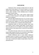 Referāts 'Saimniecības "Māras" detālplānojuma apraksts', 10.