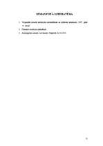 Referāts 'Saimniecības "Māras" detālplānojuma apraksts', 11.