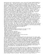 Eseja 'Marketing Plan', 4.