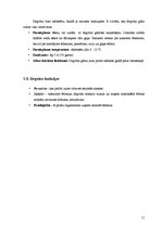 Referāts 'Degvīns, tā gatavošana un lietošana, sajaukšana ar citiem dzērieniem', 11.