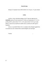 Prakses atskaite 'Civiltiesiskās prakses atskaite', 21.