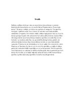 Referāts 'Runas kodu teorija', 2.