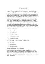 Referāts 'Runas kodu teorija', 8.