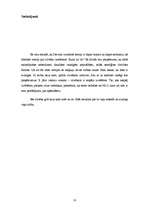 Referāts 'Cilvēka izcelšanās materiālistiskais traktējums', 10.