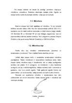 Referāts 'Skaņas iekārtas', 5.