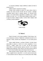 Referāts 'Skaņas iekārtas', 6.