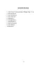 Referāts 'Skaņas iekārtas', 8.